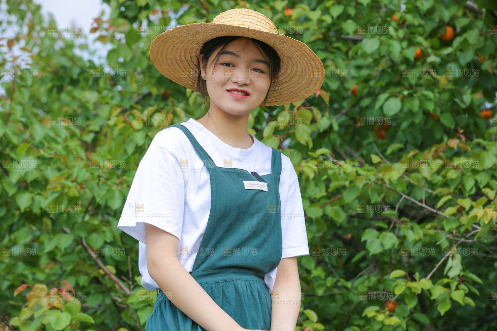 手里拿着新鲜大黄杏