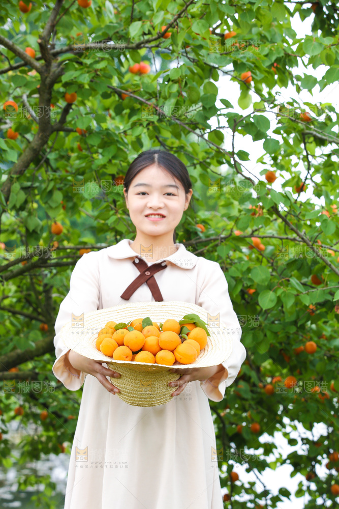 手里拿着新鲜大黄杏