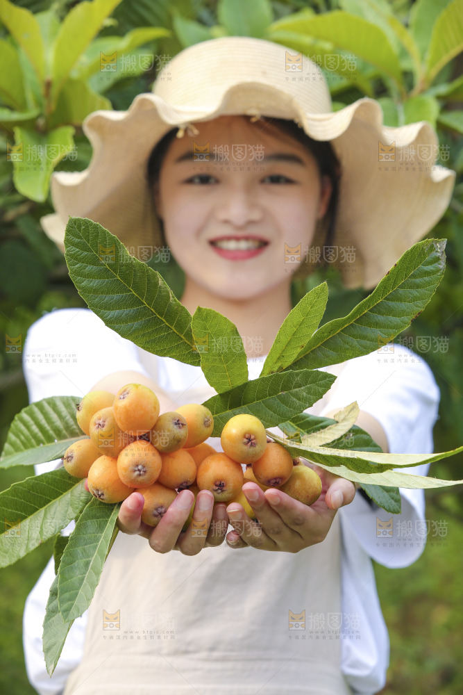 手里拿着现摘枇杷