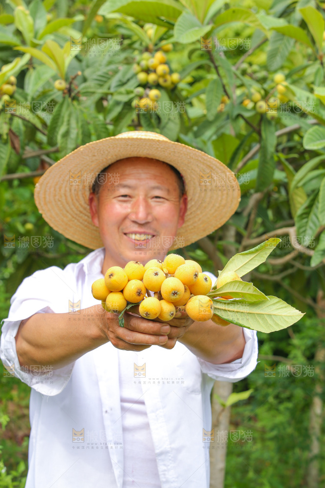 手里拿着现摘枇杷