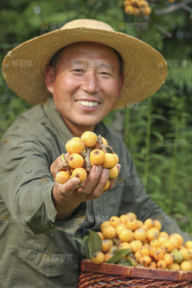 手里拿着现摘枇杷