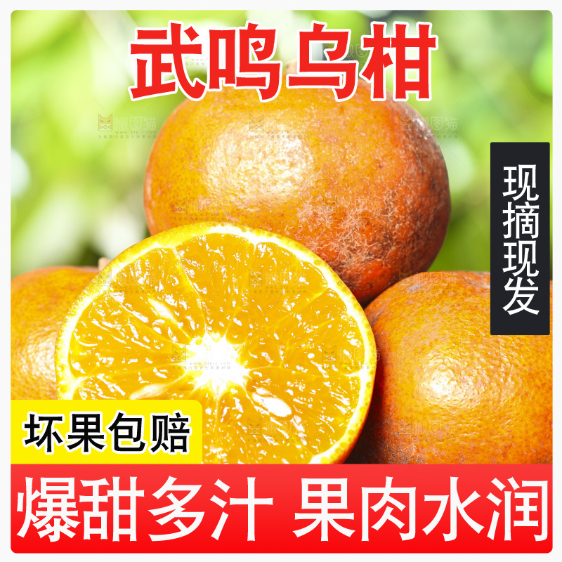 深底上的乌柑