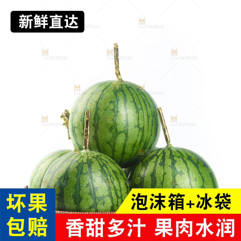 白底上的小西瓜
