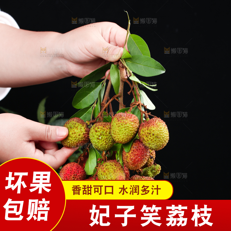 深底上的妃子笑