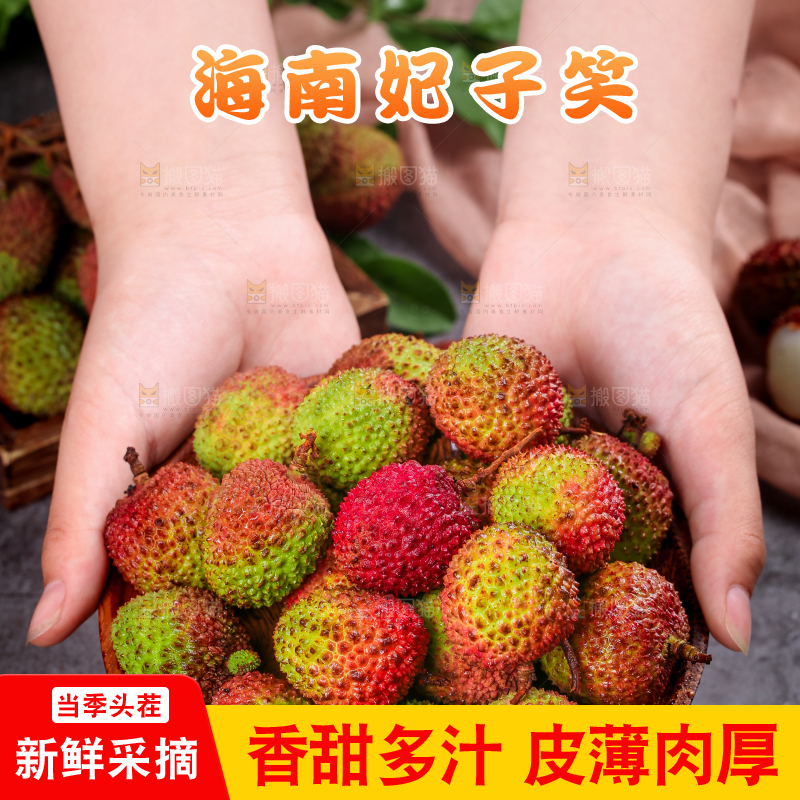 深底上的妃子笑