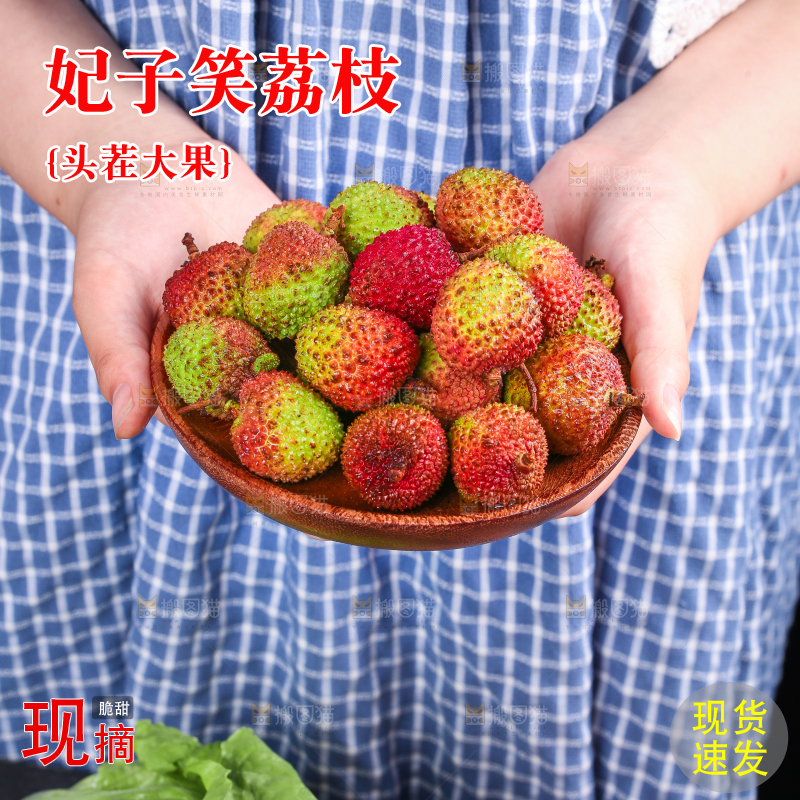 深底上的妃子笑