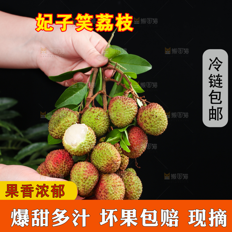 深底上的妃子笑