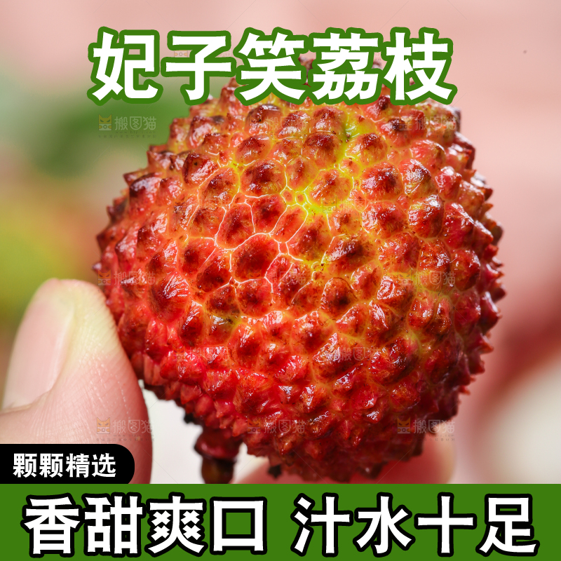 深底上的妃子笑