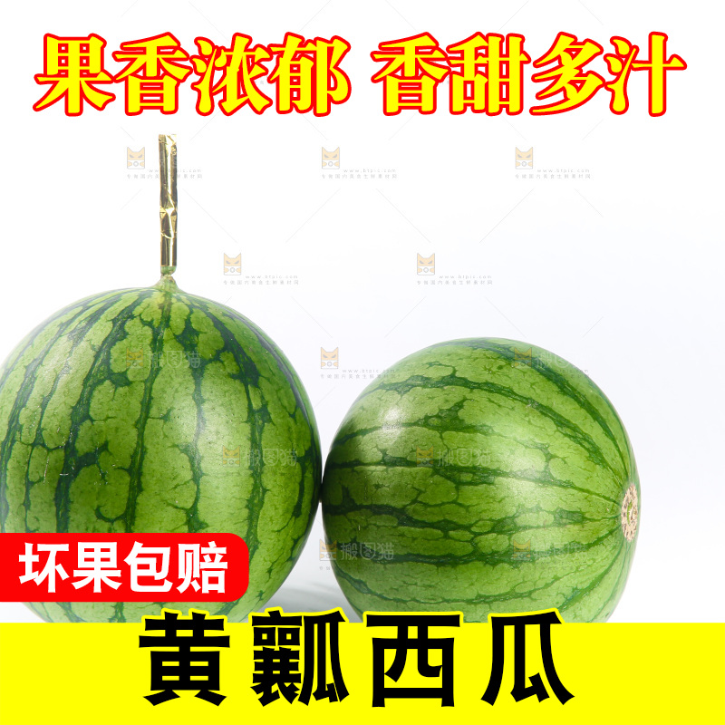 白底上的小西瓜