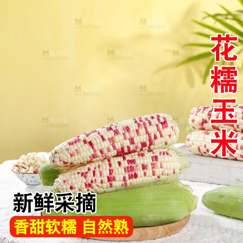 浅底上的花糯玉米