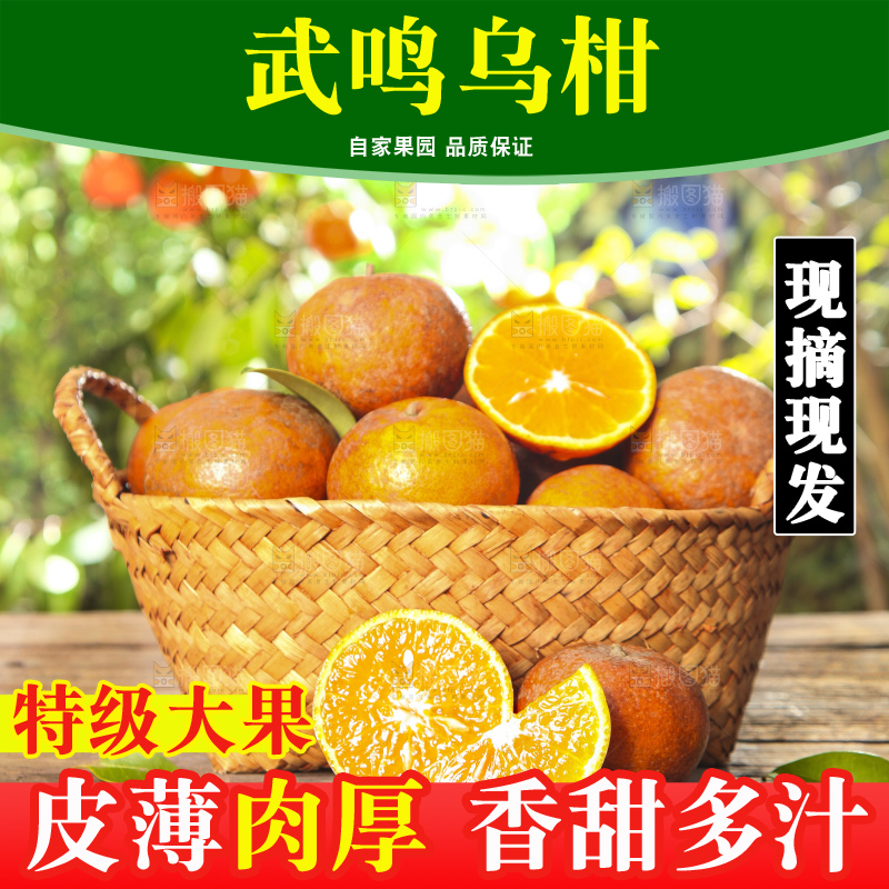 深底上的乌柑