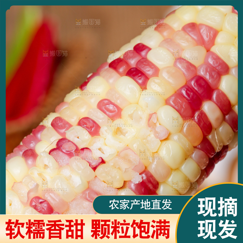 木底上的花糯玉米
