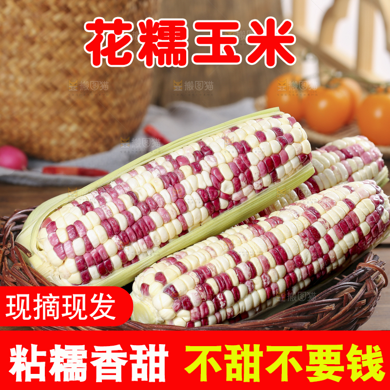 木底上的花糯玉米