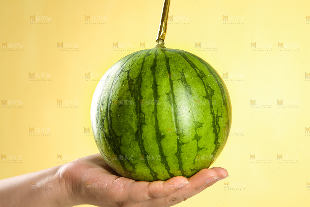 浅底上的黄瓤西瓜