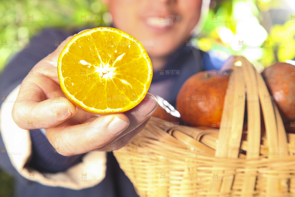 深底上的乌柑