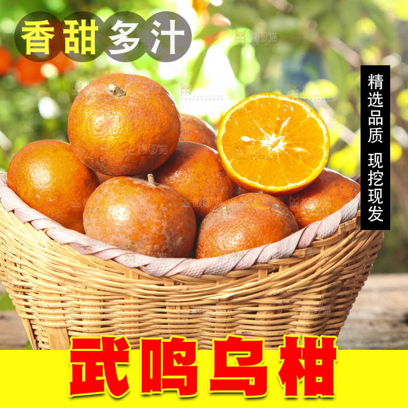深底上的乌柑