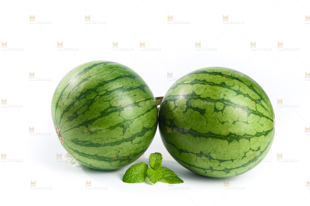 白底上的小西瓜