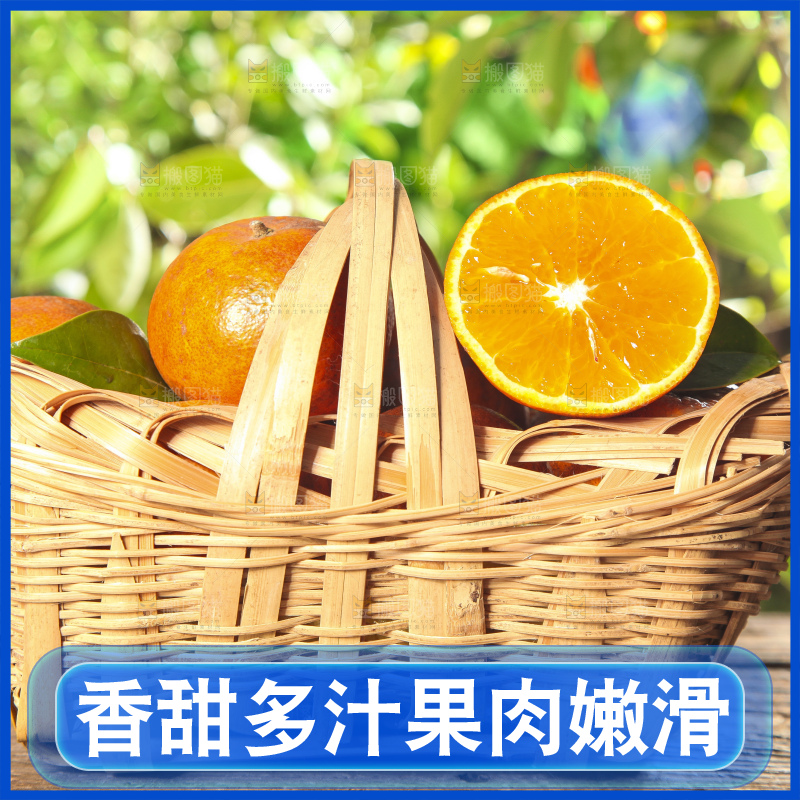 深底上的乌柑