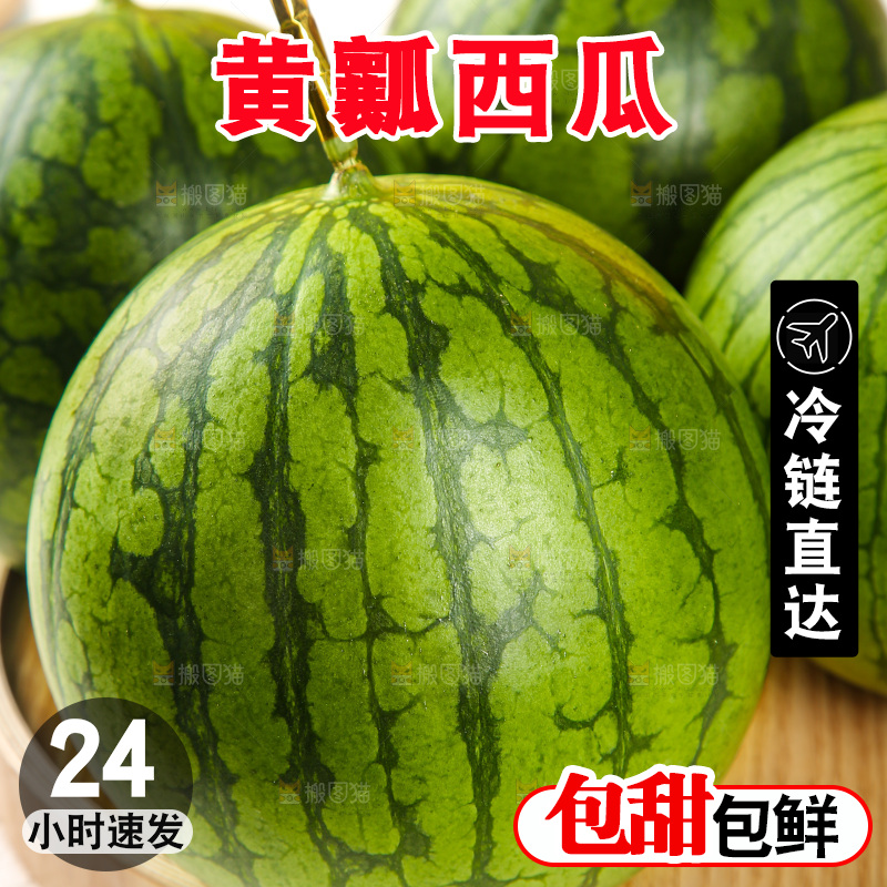浅底上的黄瓤西瓜