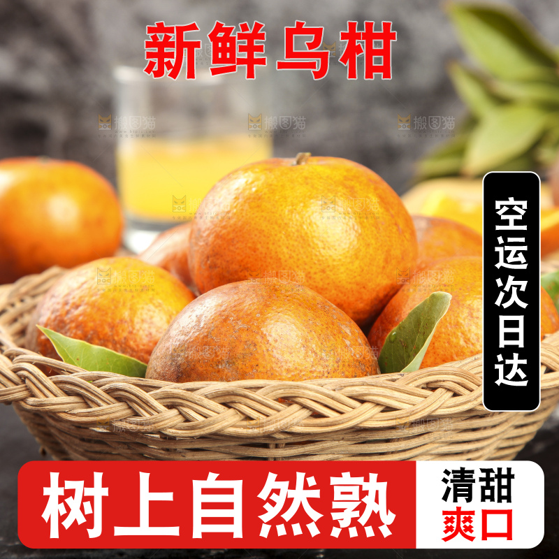 深底上的乌柑