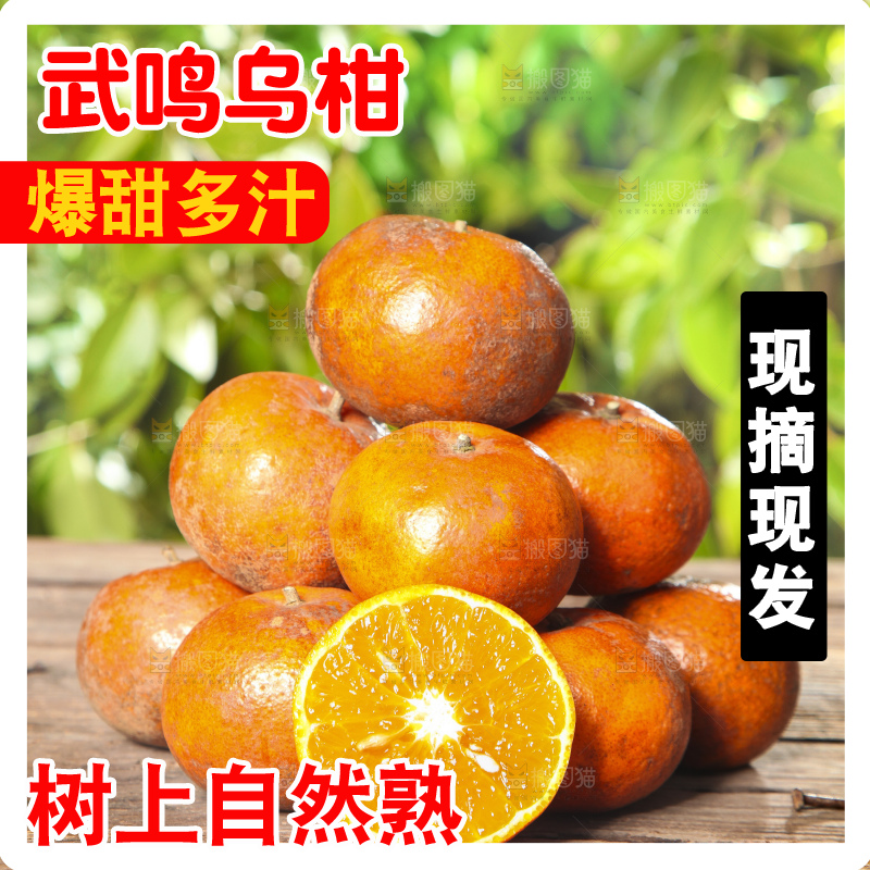 深底上的乌柑