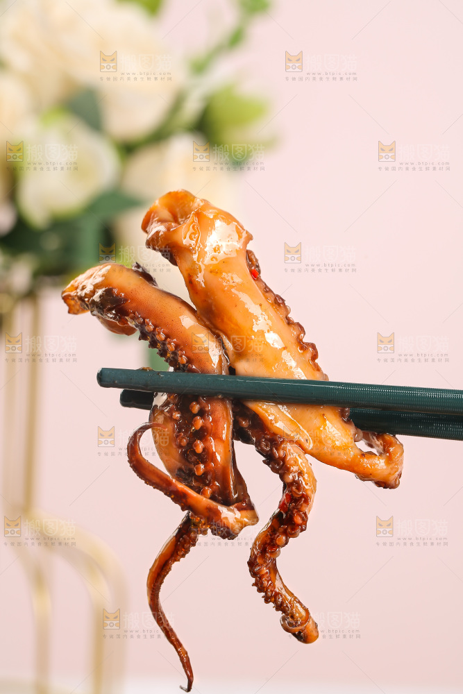 浅底上的鱿鱼须