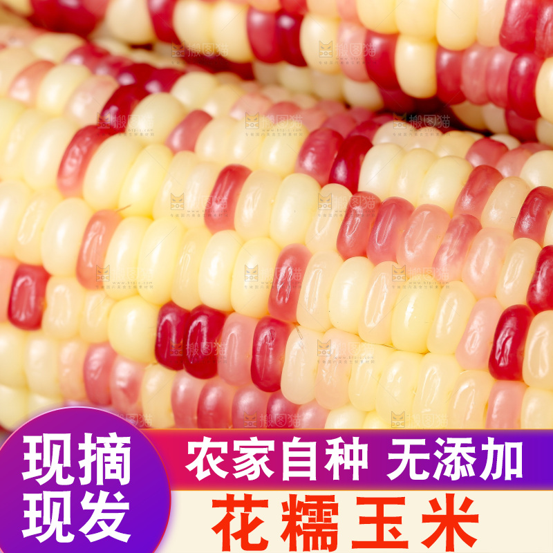 木底上的花糯玉米