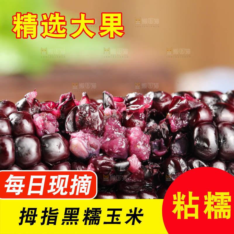 木底上的黑糯拇指玉米