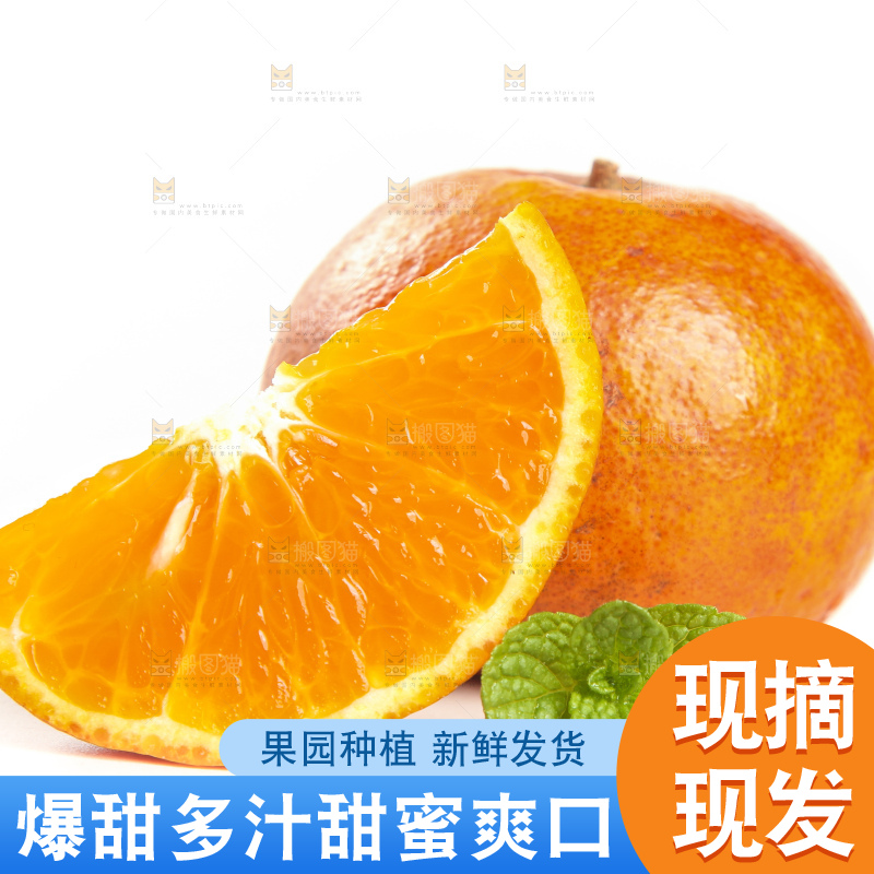 白底上的乌柑