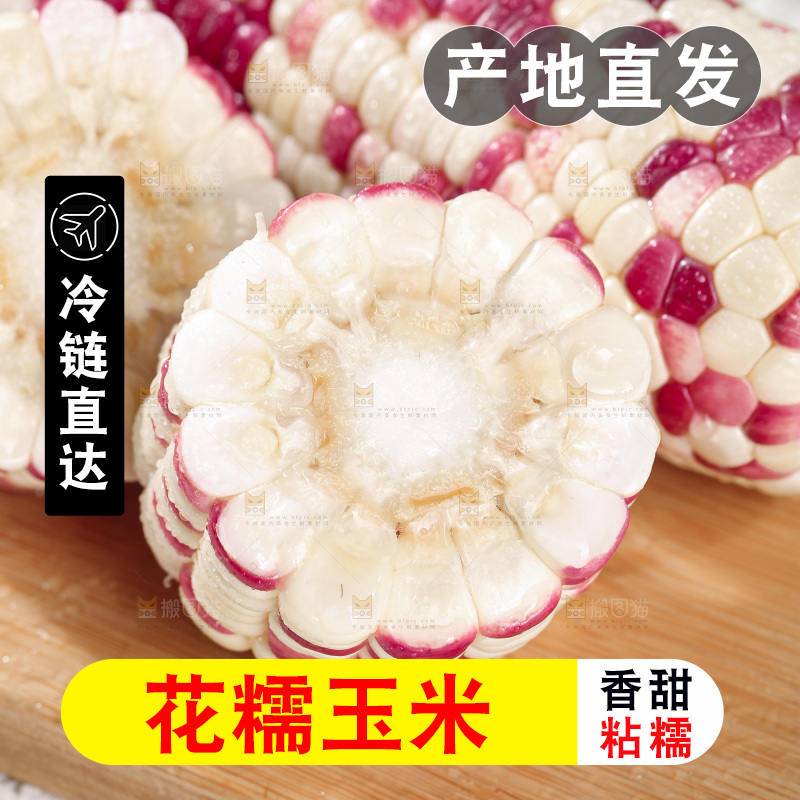 浅底上的花糯玉米