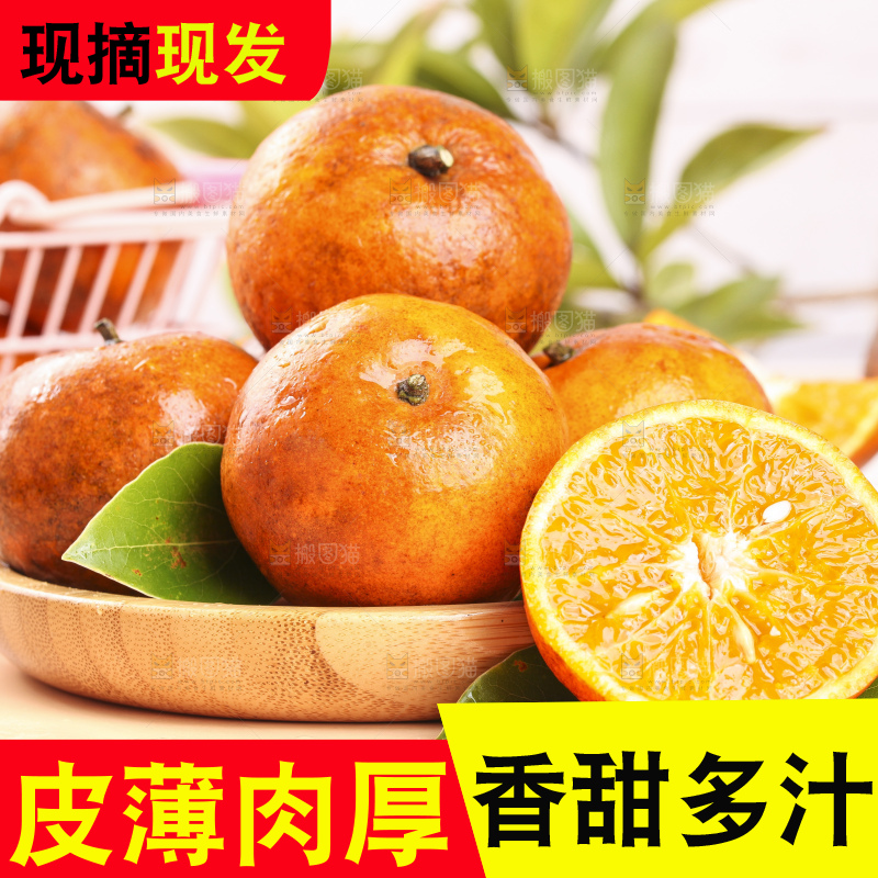 浅底上的乌柑