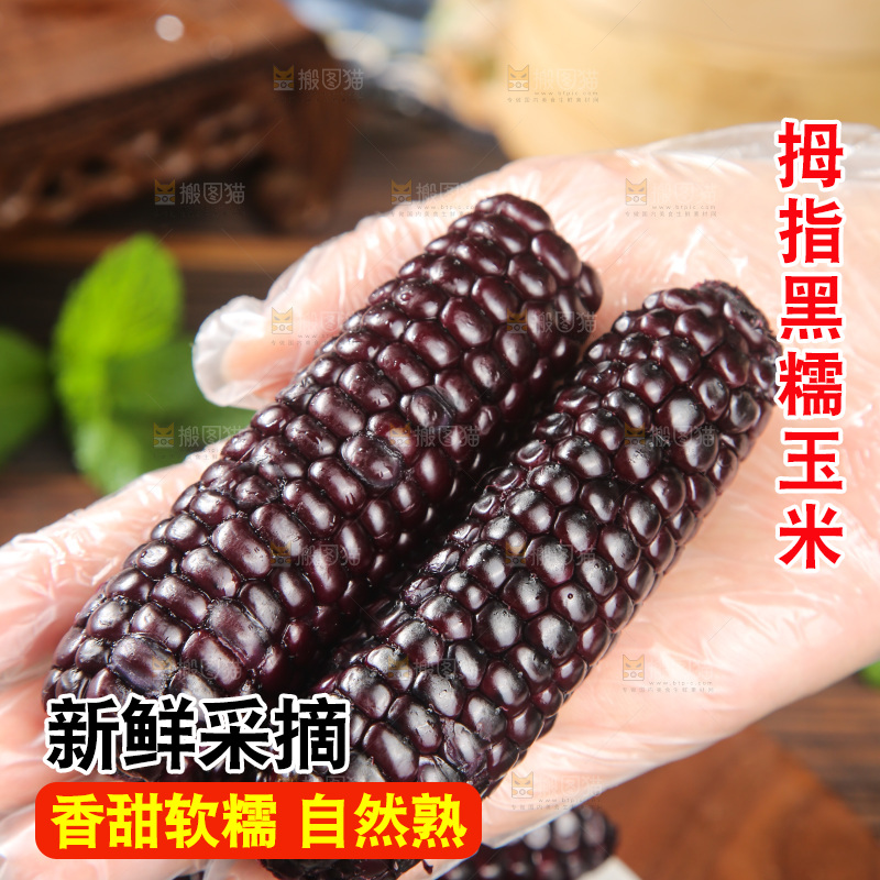 木底上的黑糯拇指玉米