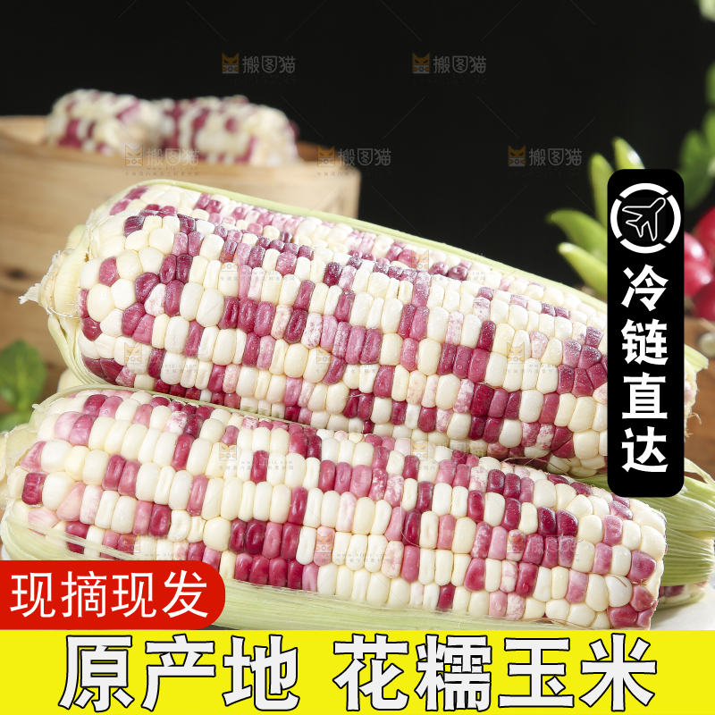木底上的花糯玉米