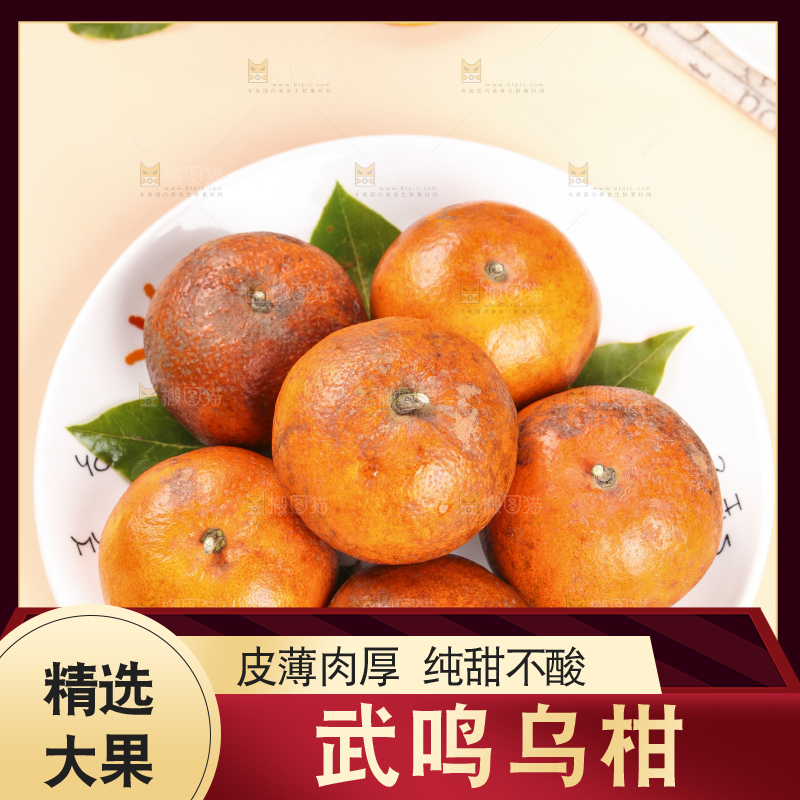 浅底上的乌柑