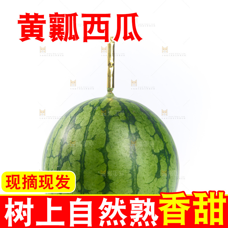 白底上的小西瓜