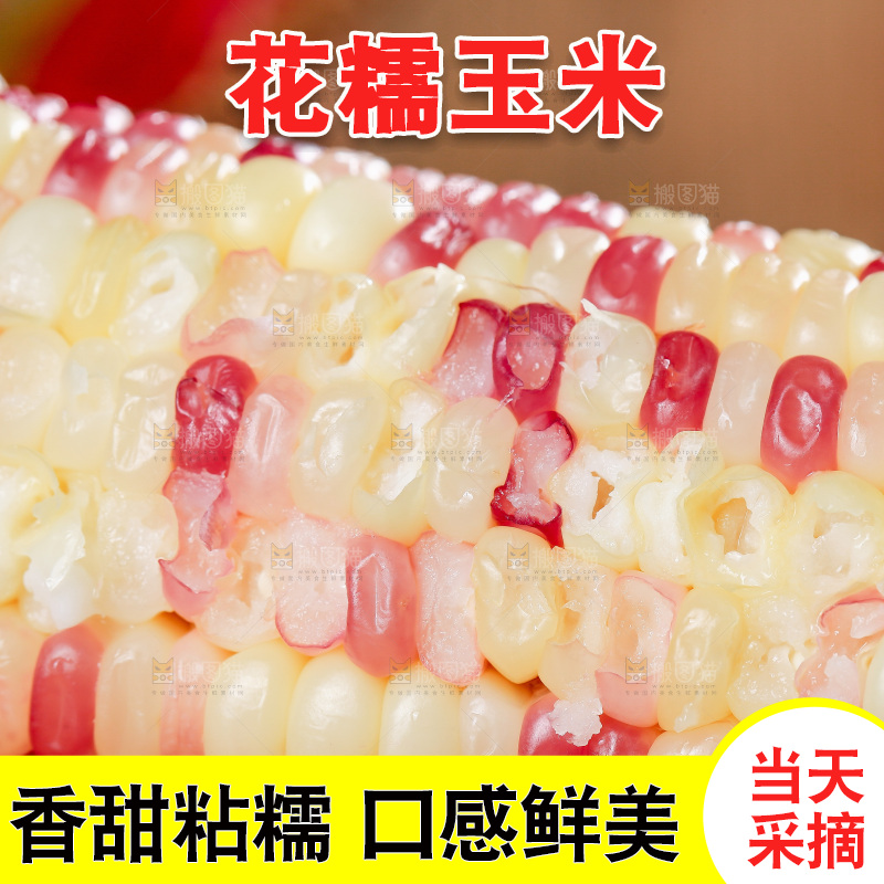 木底上的花糯玉米