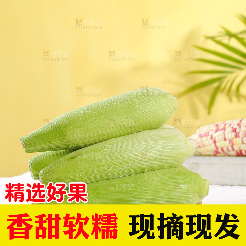 浅底上的花糯玉米