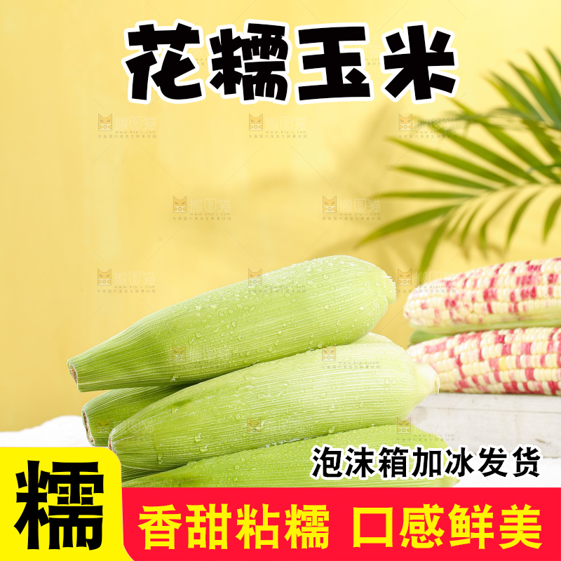 浅底上的花糯玉米