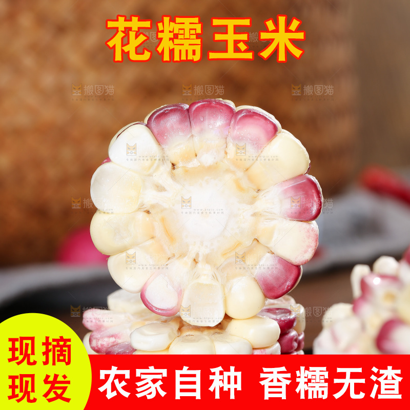 木底上的花糯玉米