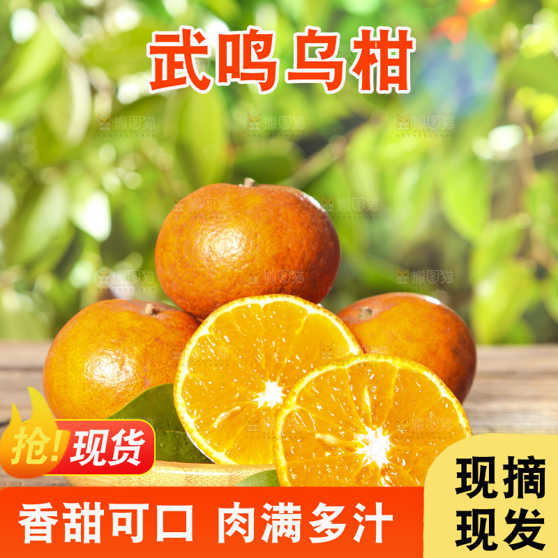 深底上的乌柑