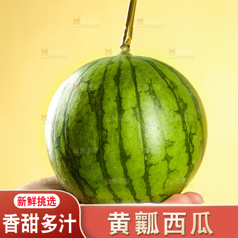浅底上的黄瓤西瓜