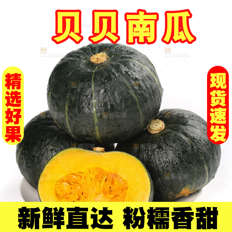 白底上放着的贝贝南瓜