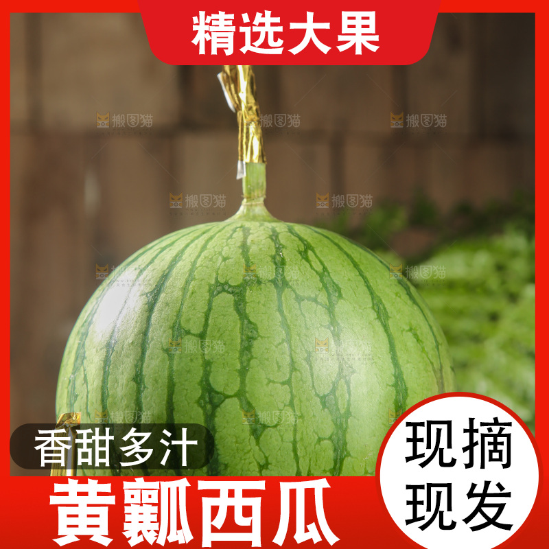木底上的小西瓜