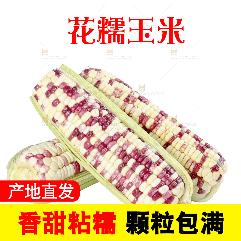 白底上的花糯玉米
