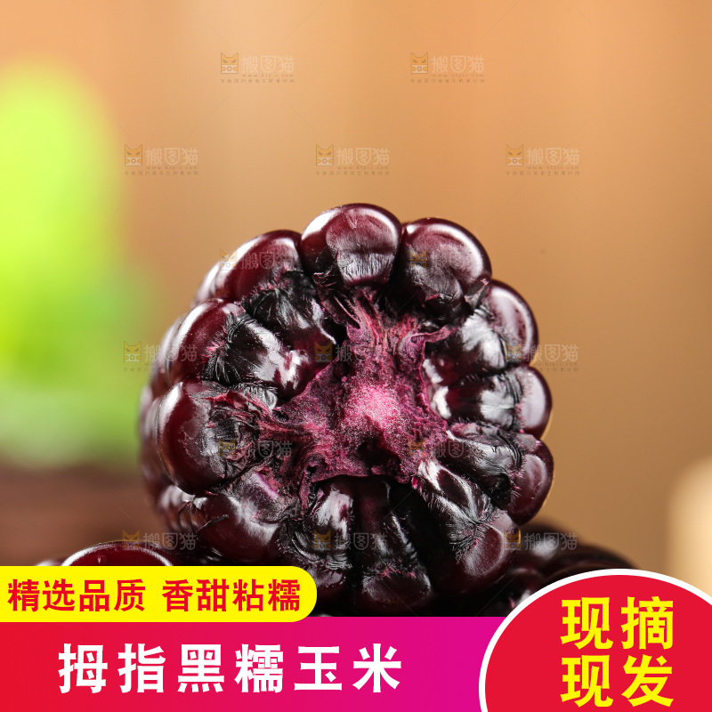 木底上的黑糯拇指玉米