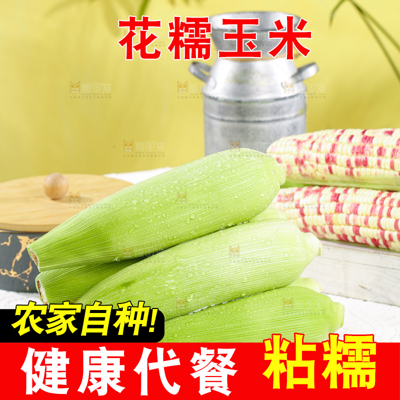 浅底上的花糯玉米
