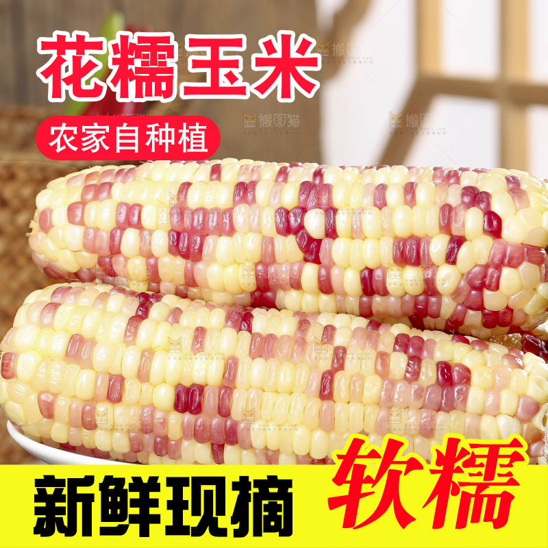木底上的花糯玉米