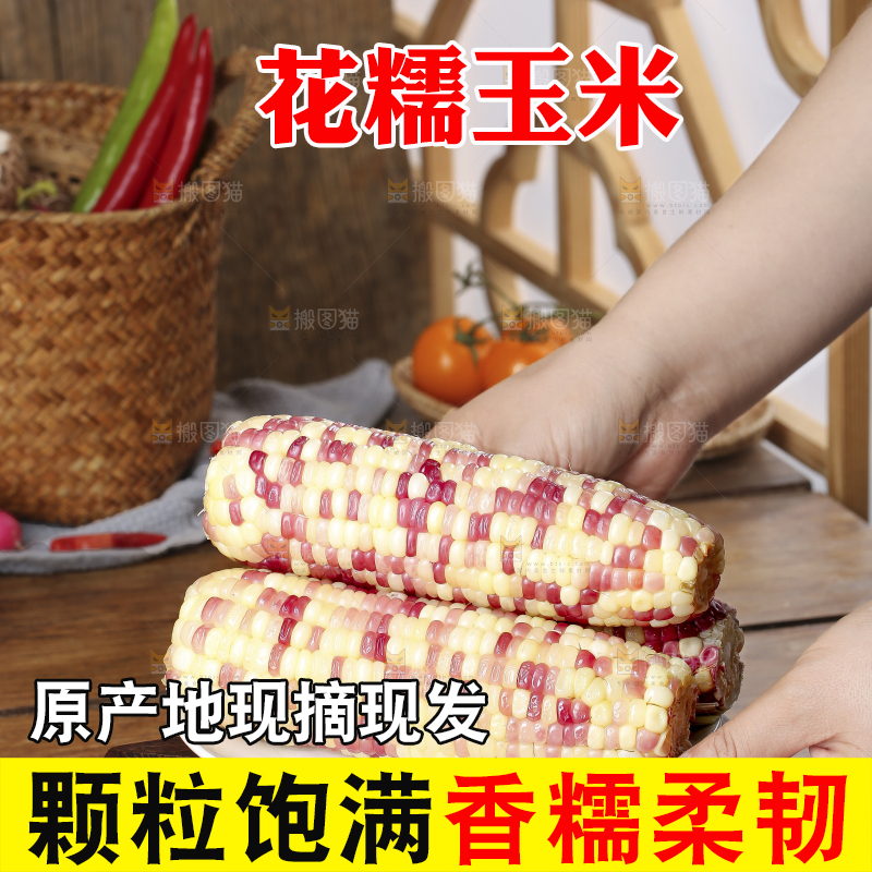 木底上的花糯玉米