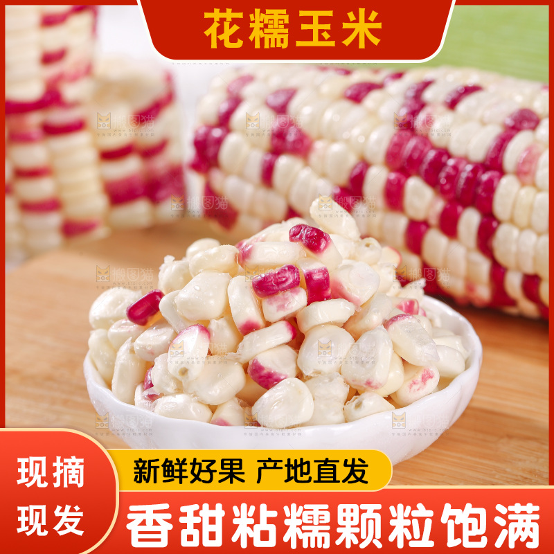 浅底上的花糯玉米