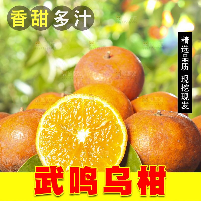 深底上的乌柑